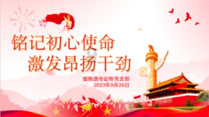 旋转方块大挑战